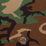 M81 Woodland