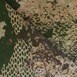 Phantomleaf Wasp II Z1B