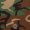 M81 Woodland