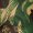 Rhodesian Brushstroke
