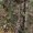 Realtree Xtra Green