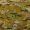 Australian Multicam