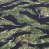 Tiger Stripe