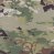 Multicam
